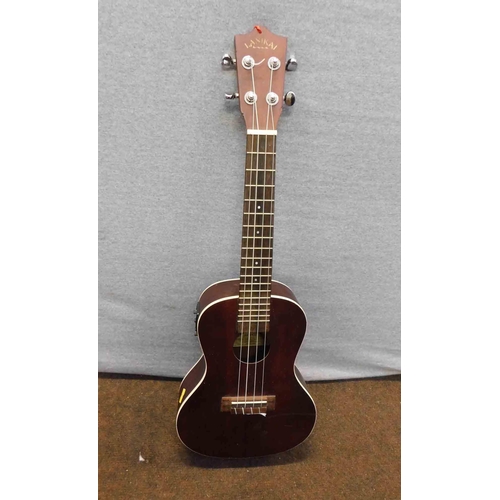 165 - electro/acoustic - ukulele