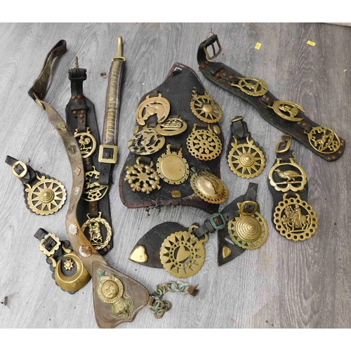 649 - Selection of horse brass on leather straps - vintage