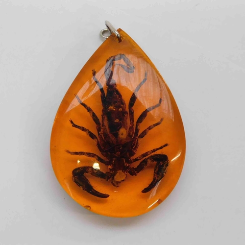 98 - Scorpion set in lucite