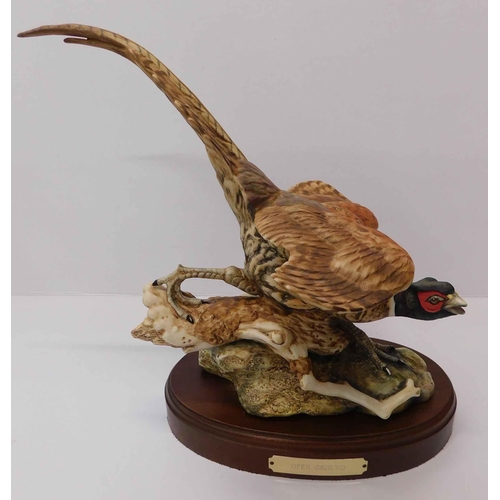 247 - Beswick - pheasant/Open ground - on wooden plinth model no 2760 - approx 30cm height