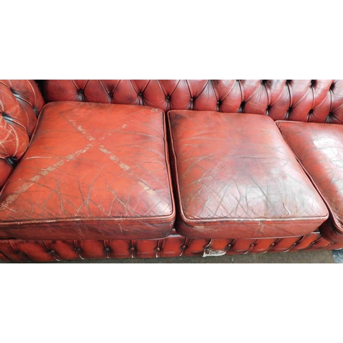 730 - 3 Seater Chesterfield in oxblood