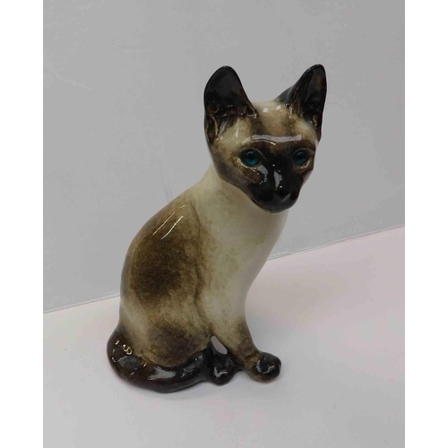 216 - Winstanley - Siamese cat with blue glass eyes - approx. 11