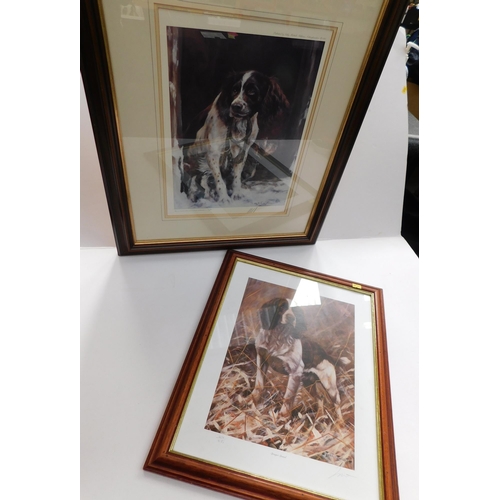 12 - Two -  Limited Edition/signed prints - Springer Spaniel by John Tricket & Mich Causten