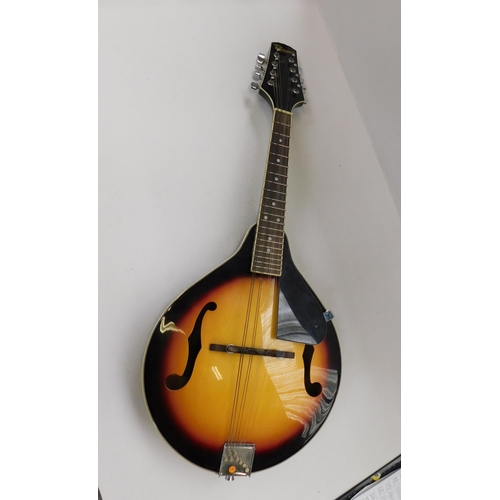 48 - Redwood - Mandolin