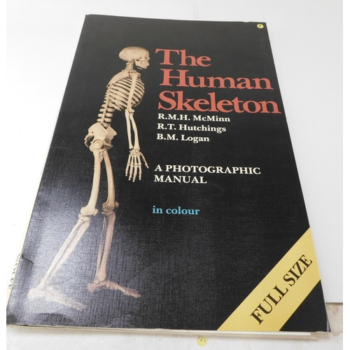 28 - The Human skeleton - A Photographic Manual in colour