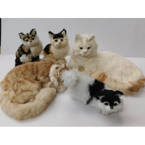 81A - Mixed - Nautical cats & soft toys