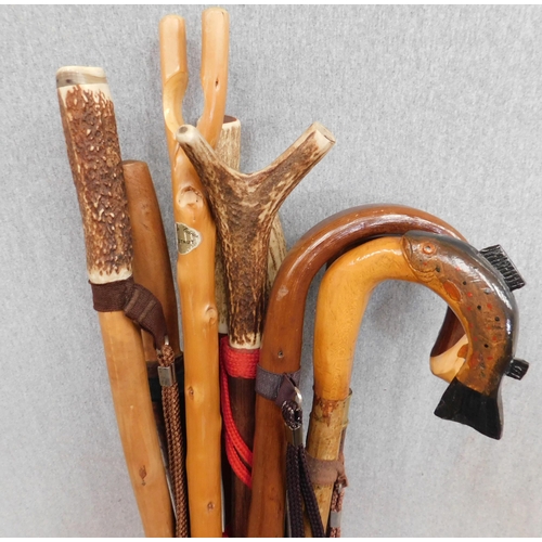 671 - Collection of tall walking sticks