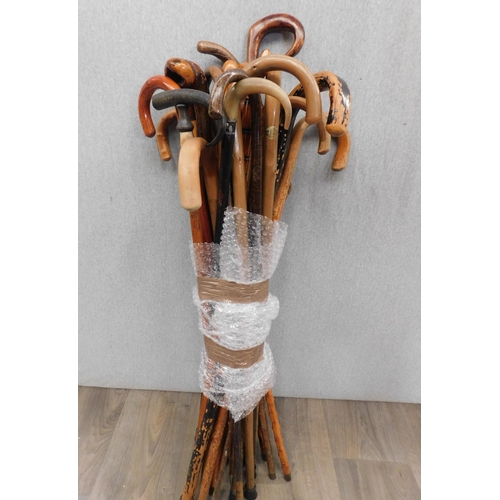 671 - Collection of tall walking sticks