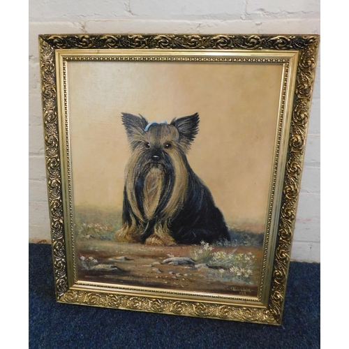 102 - Oil painting - Yorkshire Terrier by Kevin Walsh 1983