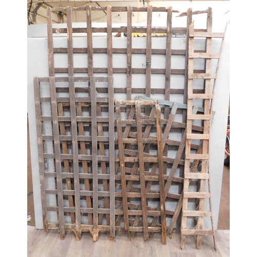 532 - Collection of garden trellis's