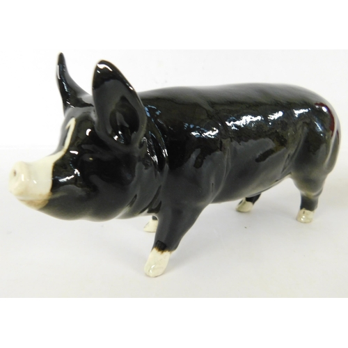 289 - Beswick - rare breeds/Berkshire Boar - no damage