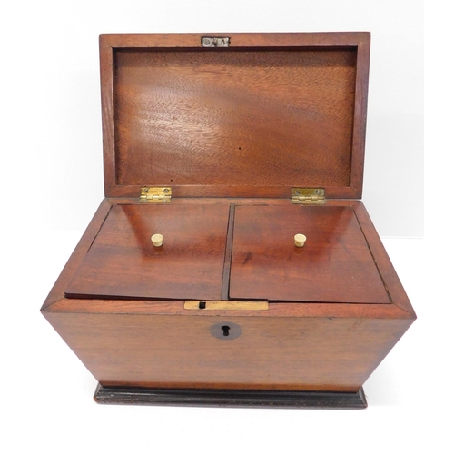 19 - Rosewood - sarcophagus/tea caddy