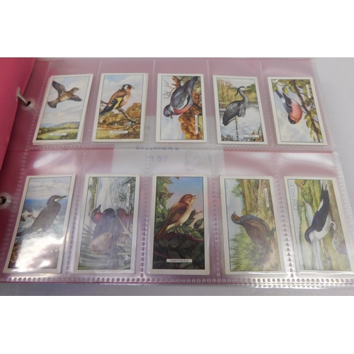 184 - Eleven - sets of cigarette cards