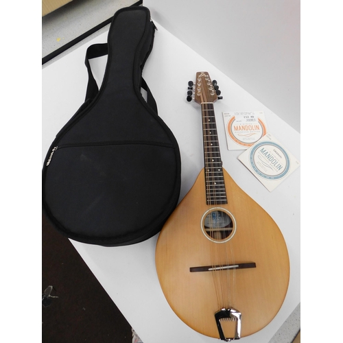 105 - Ashbury Mandolin - case & spare strings