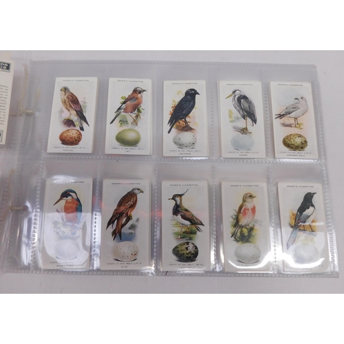 221 - Ogdens - British birds & their eggs/cigarette cards