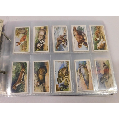 314 - Cigarette cards 
GREEN SALE - SPEND £1 - AVOID THE GROUND - no commission to pay