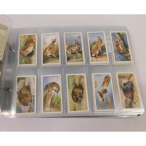 314 - Cigarette cards 
GREEN SALE - SPEND £1 - AVOID THE GROUND - no commission to pay