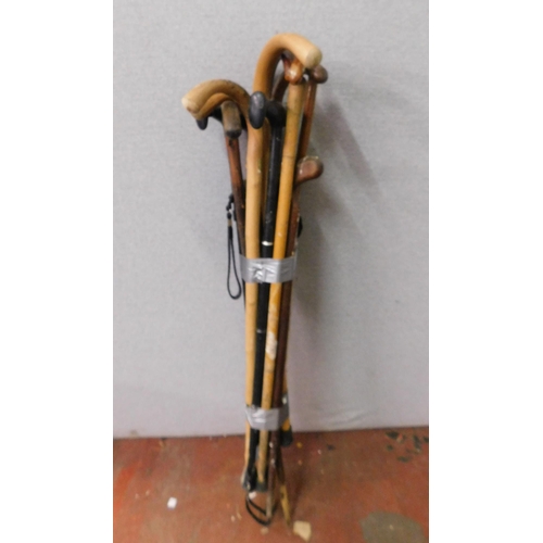 678 - Bundle of walking sticks
