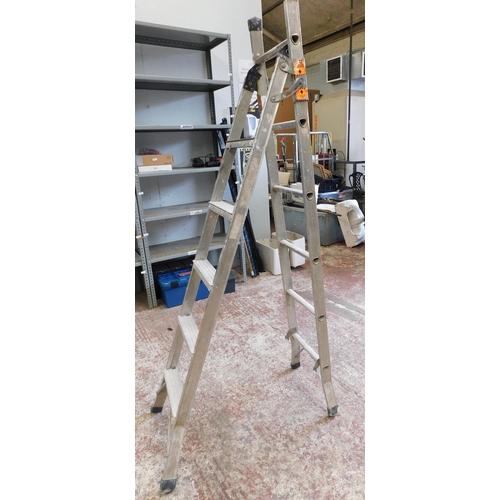 515 - 10 rung aluminium stepladder