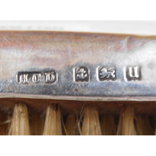 260 - Silver topped - clothes brush