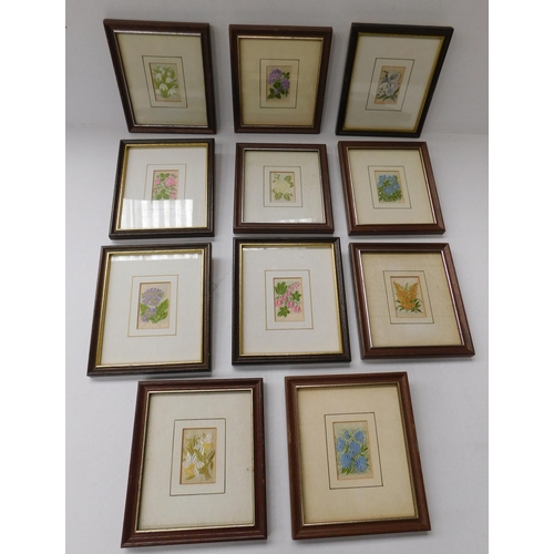 224 - Framed - silk/cigarette cards