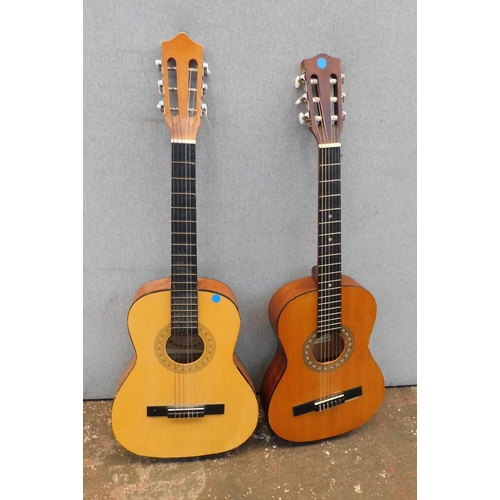 120 - Two acoustic guitars