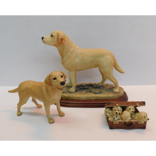 367 - Three border fine arts Labrador figurines - no damage