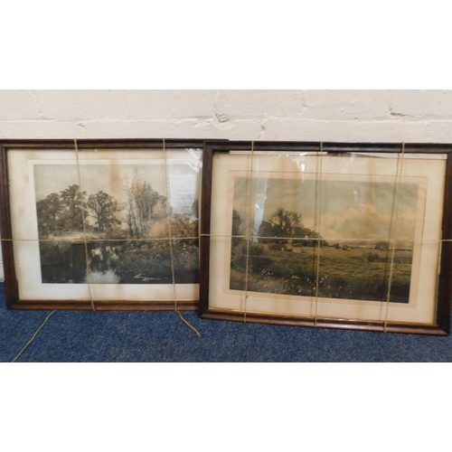 485 - Pair of vintage prints - frames need attention