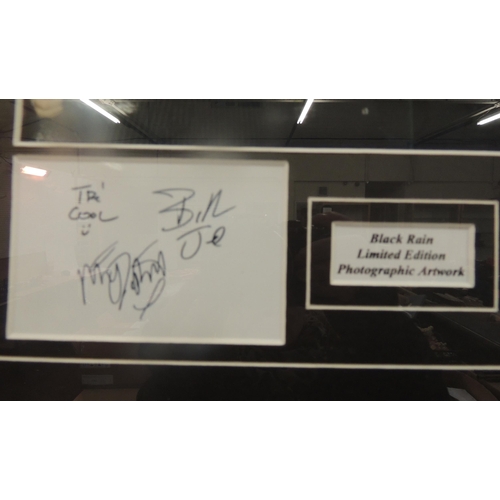 312 - Green Day Nimrod signed framed display