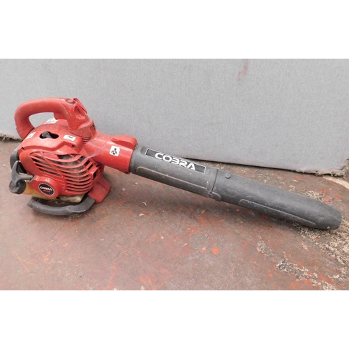 19 - Petrol Cobra leaf blower - unchecked...
