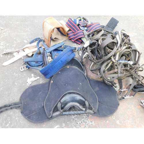 Large selection of horse riding items - incl. saddle