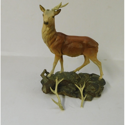 473 - Beswick Connoisseur stag on mountainous terrain - broken antlers in bag