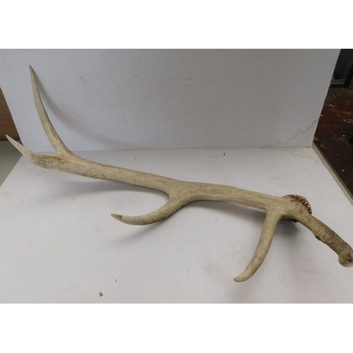 Lot 25        