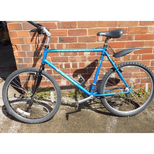 Lot 36        