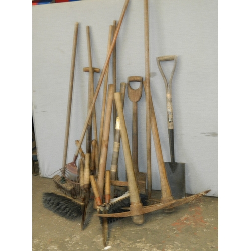 Lot 15        