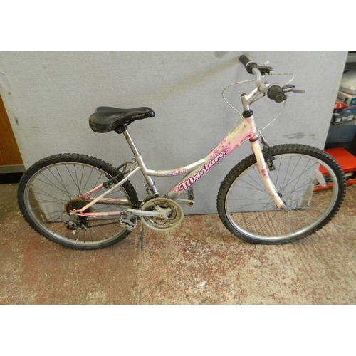 Lot 22        
