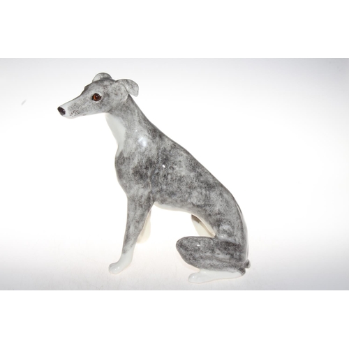 noriSTETSON Whippet ウィペット　タウニー Whippet Catching a Rabbit 🐰 [Lure] - YouTube