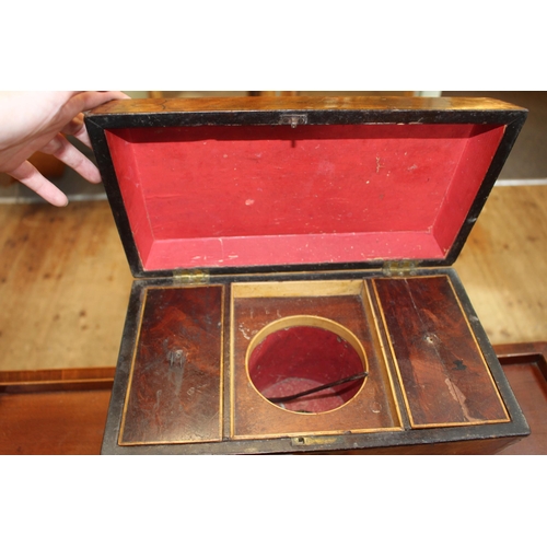 149 - 19th Century sarcophagus tea caddy on brass ball feet, 32cm wide.