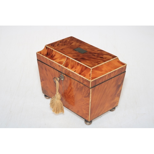 263 - 19th Century tortoiseshell twin compartment tea caddy on bun feet.