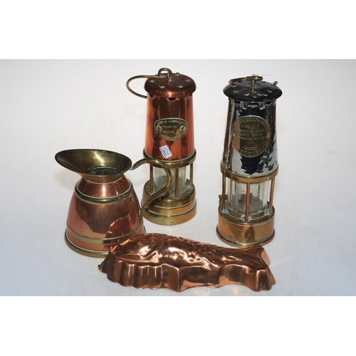 307 - Two miners lamps including Protector type 6RS, jug and fish mould (4).