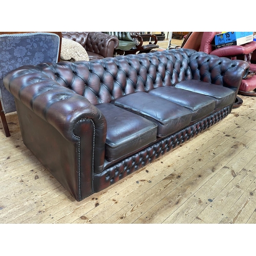 441 - Ox blood deep buttoned leather four seater Chesterfield settee, 70cm by 234cm by 91cm.