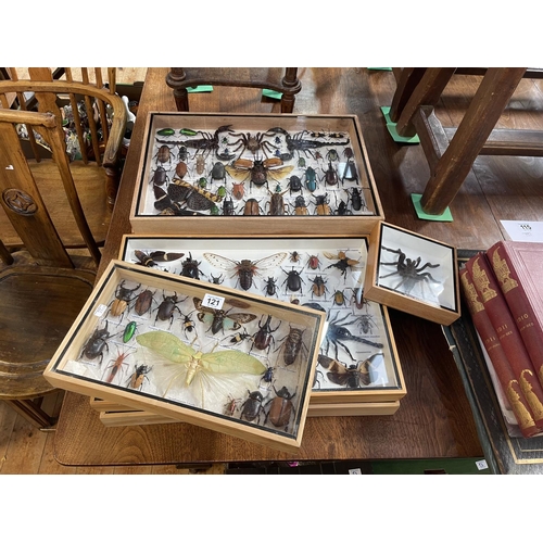 121 - Seven replica taxidermy cases of insects, spiders, scorpions, etc.