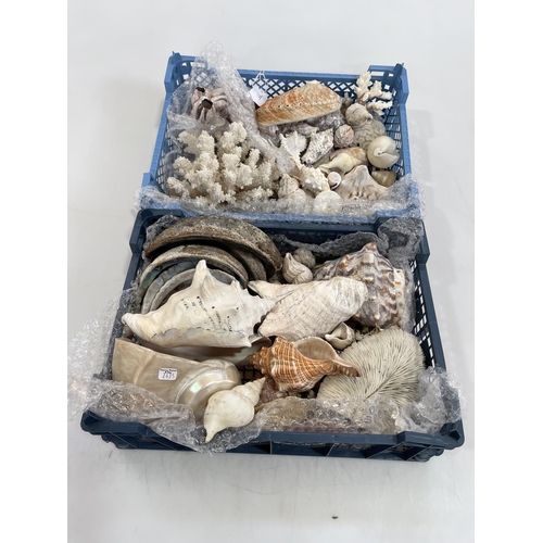 17 - Two boxes of shells.