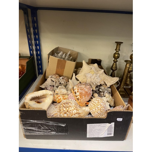 68 - Collection of sea shells, etc.