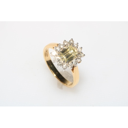 203 - 18 carat gold diamond cluster ring, the central emerald cut diamond surrounded by fourteen round cut... 