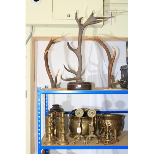 Lot 85        