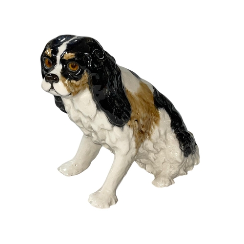 252 - Winstanley King Charles Spaniel, size 9.