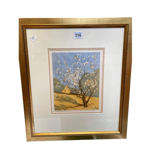 316 - R L Howey, Apple Blossom, limited edition print, signed, titled and numbered 2/100 in the margin.