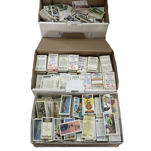 Lot 55        