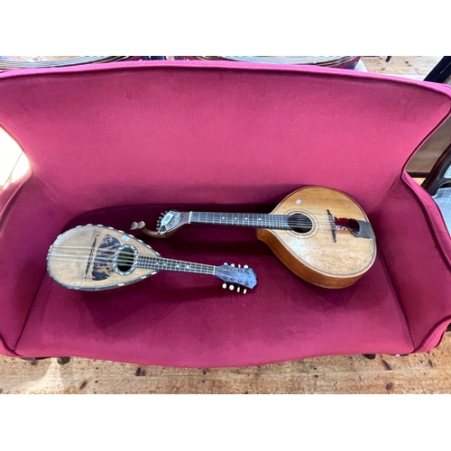 120 - Portuguese guitar and mandolin (with label).